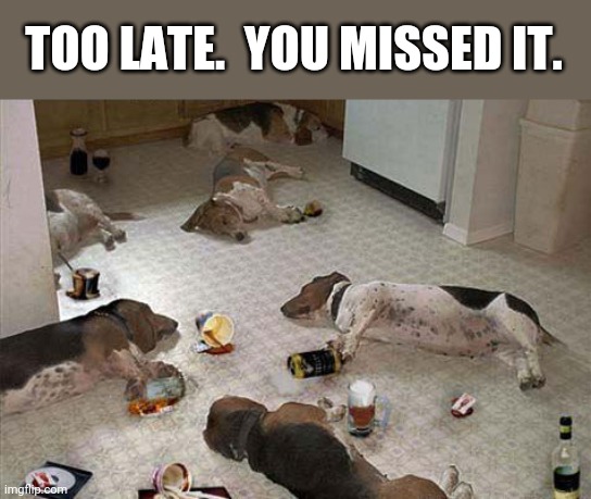 Drunk dogs after party | TOO LATE.  YOU MISSED IT. | image tagged in drunk dogs after party | made w/ Imgflip meme maker