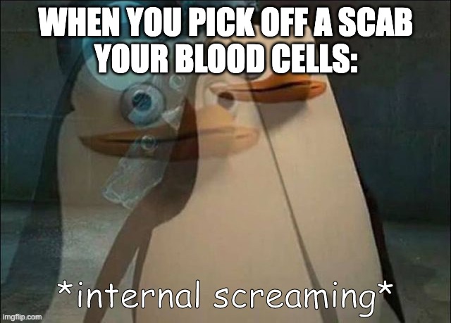 Who even knows how I came up with this meme idea?????? | WHEN YOU PICK OFF A SCAB
YOUR BLOOD CELLS: | image tagged in private internal screaming | made w/ Imgflip meme maker