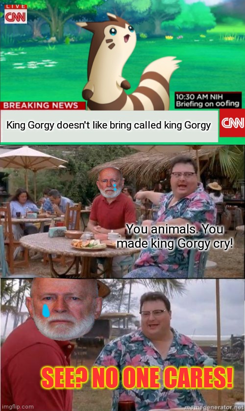 It's time stop. | King Gorgy doesn't like bring called king Gorgy; You animals. You made king Gorgy cry! SEE? NO ONE CARES! | image tagged in breaking news furret,see no one cares,stop picking on,king gorgy | made w/ Imgflip meme maker