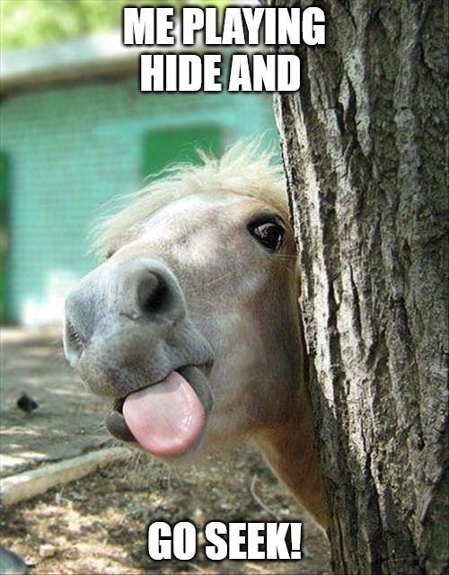 tricking you | ME PLAYING HIDE AND; GO SEEK! | image tagged in funny-horse,horses | made w/ Imgflip meme maker