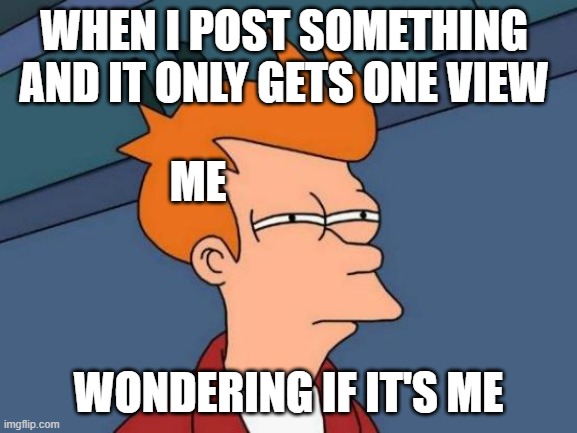 It's just me | WHEN I POST SOMETHING 
AND IT ONLY GETS ONE VIEW; ME; WONDERING IF IT'S ME | image tagged in memes,futurama fry | made w/ Imgflip meme maker