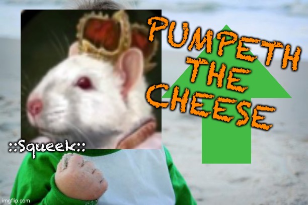 Pump The Cheese | PUMPETH THE CHEESE; ::Squeek:: | image tagged in memes,crypto | made w/ Imgflip meme maker