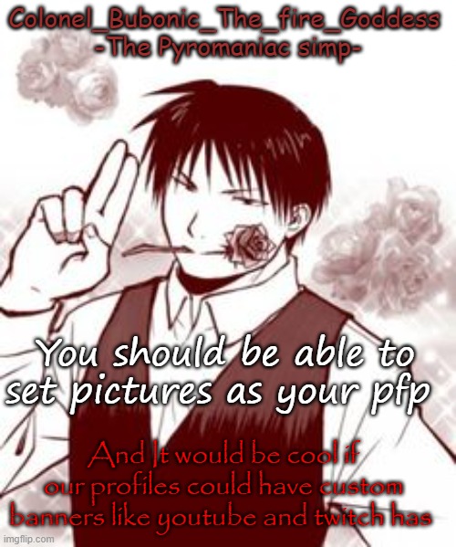 Just an idea | You should be able to set pictures as your pfp; And It would be cool if our profiles could have custom banners like youtube and twitch has | image tagged in yes a new temp stfu | made w/ Imgflip meme maker