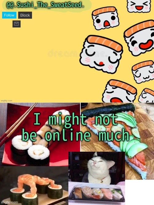 so yeaaaaaaaaaaaaaaaa | I might not be online much | image tagged in sushi_the_sweatseed | made w/ Imgflip meme maker