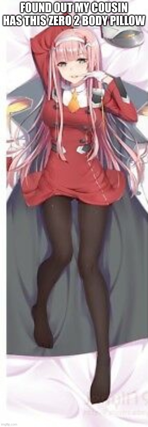 im disapointed but i expected it | FOUND OUT MY COUSIN HAS THIS ZERO 2 BODY PILLOW | made w/ Imgflip meme maker