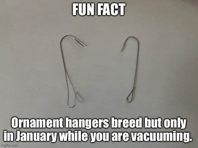 FUN FACT; Ornament hangers breed but only in January while you are vacuuming. | image tagged in christmas | made w/ Imgflip meme maker