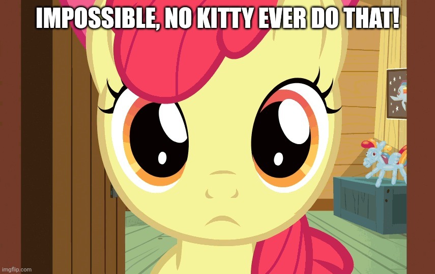 Confused Applebloom (MLP) | IMPOSSIBLE, NO KITTY EVER DO THAT! | image tagged in confused applebloom mlp | made w/ Imgflip meme maker