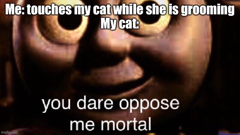 My cat be like | Me: touches my cat while she is grooming
My cat: | image tagged in you dare oppose me mortal,cats,cat,thomas the tank engine,thomas the train | made w/ Imgflip meme maker