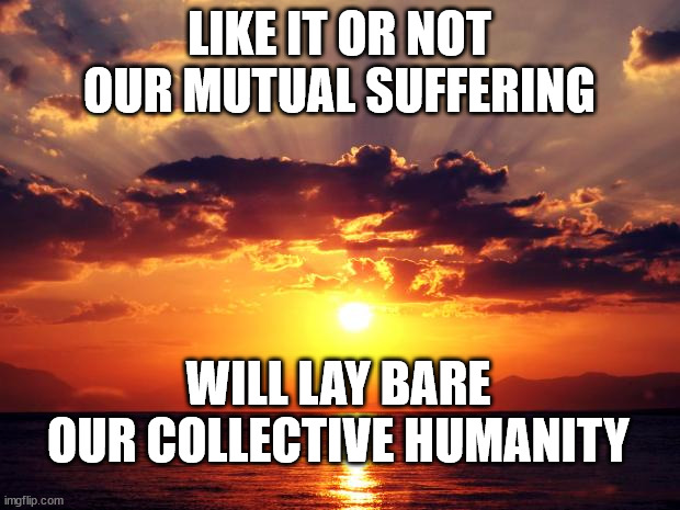 Sunset | LIKE IT OR NOT
OUR MUTUAL SUFFERING; WILL LAY BARE
OUR COLLECTIVE HUMANITY | image tagged in sunset | made w/ Imgflip meme maker