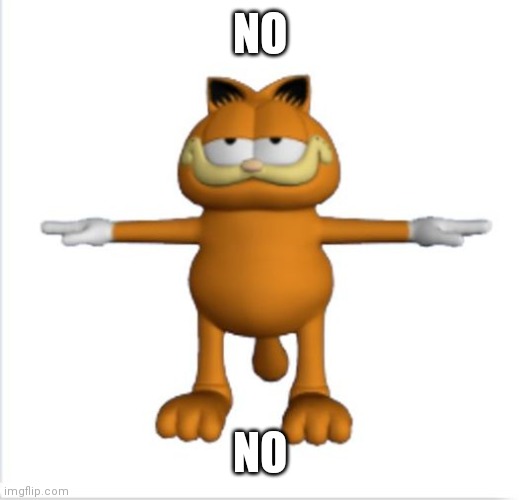 garfield t-pose | NO NO | image tagged in garfield t-pose | made w/ Imgflip meme maker