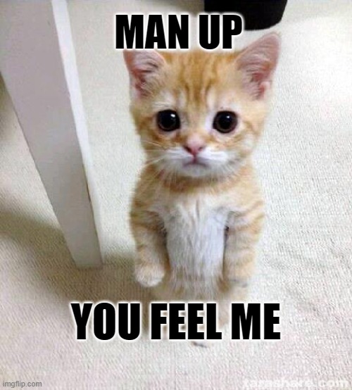 Cute Cat | MAN UP; YOU FEEL ME | image tagged in memes,cute cat | made w/ Imgflip meme maker