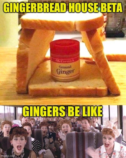 Happy Holidays! | GINGERBREAD HOUSE BETA; GINGERS BE LIKE | image tagged in gingerbread house,gingers,holidays | made w/ Imgflip meme maker