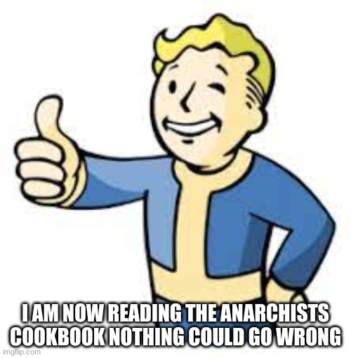 absolutely nothing | I AM NOW READING THE ANARCHISTS COOKBOOK NOTHING COULD GO WRONG | made w/ Imgflip meme maker