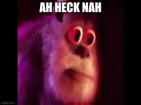 Sully Groan | AH HECK NAH | image tagged in sully groan | made w/ Imgflip meme maker