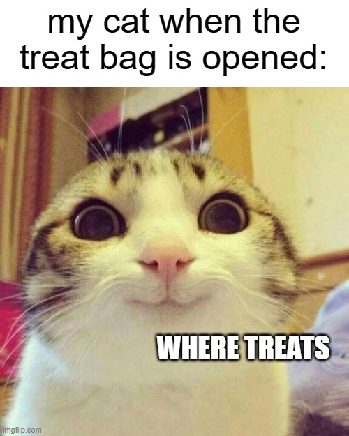 cats be like: | my cat when the treat bag is opened:; WHERE TREATS | image tagged in memes,smiling cat | made w/ Imgflip meme maker