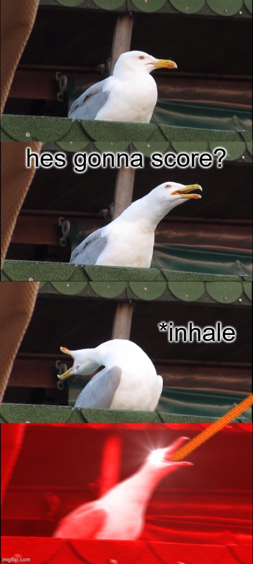when the player scored | hes gonna score? *inhale; YEEEEEEEEEEEEEEEEEEEEEE | image tagged in memes,inhaling seagull | made w/ Imgflip meme maker