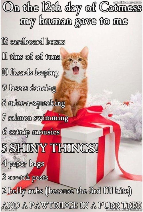 Off topic funni thing | image tagged in cats | made w/ Imgflip meme maker