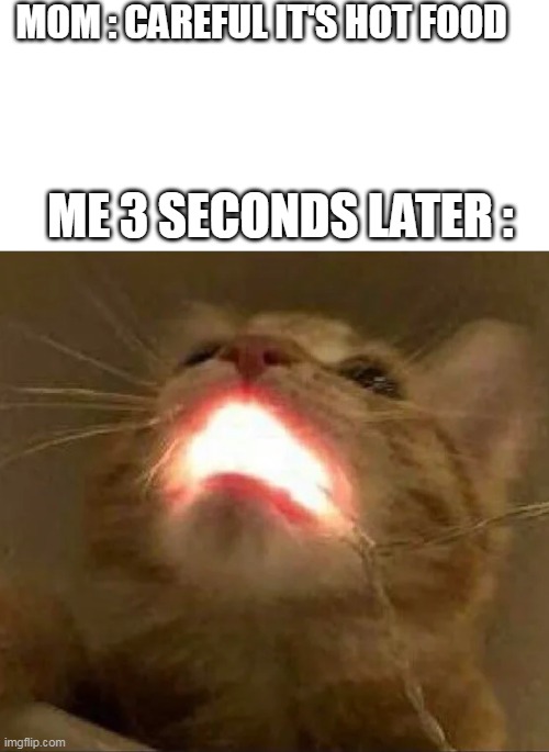 hot food | MOM : CAREFUL IT'S HOT FOOD; ME 3 SECONDS LATER : | image tagged in lava,cat,memes,relatable,lol,mom | made w/ Imgflip meme maker