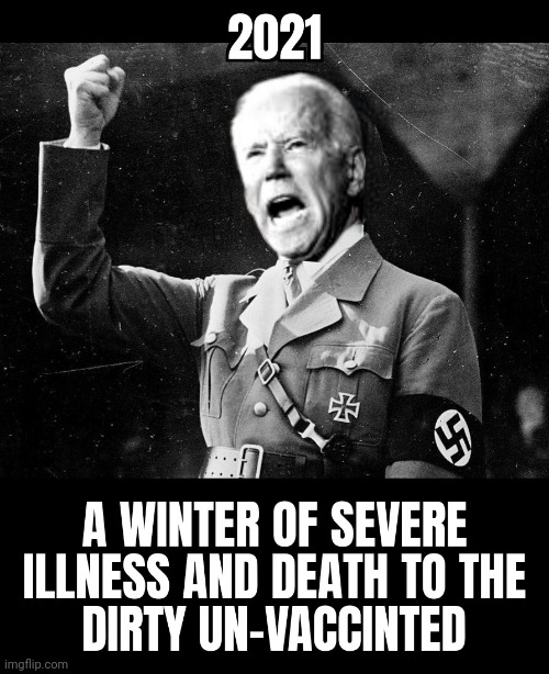 DIVISION IS HOW IT STARTS | image tagged in joe biden,hitler,nazi,vaccine | made w/ Imgflip meme maker