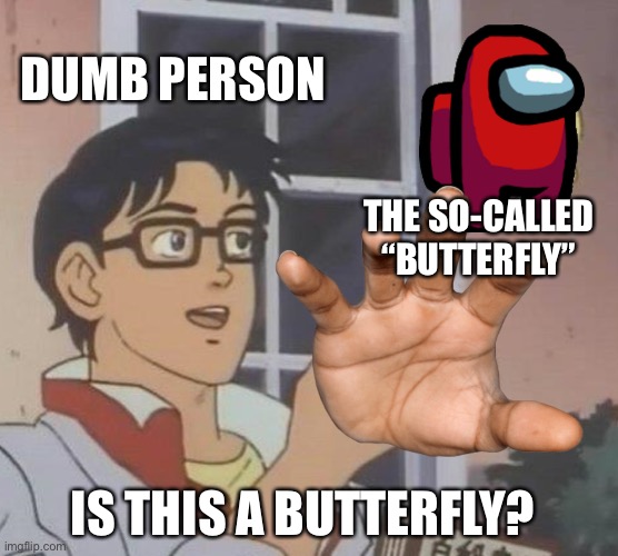 no | DUMB PERSON; THE SO-CALLED “BUTTERFLY”; IS THIS A BUTTERFLY? | image tagged in memes,is this a pigeon,no thank you aila | made w/ Imgflip meme maker