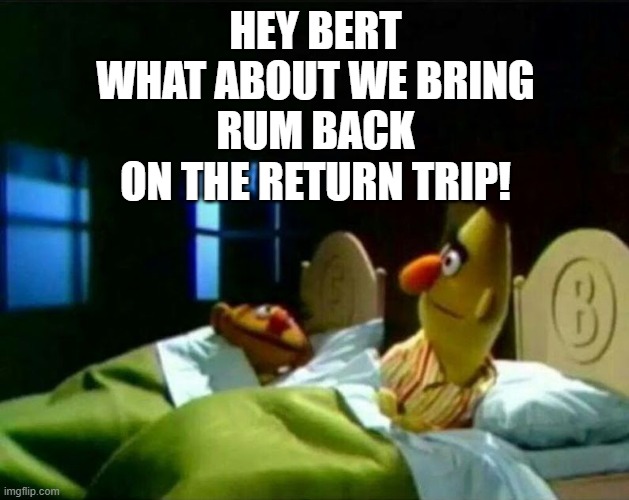 Ernie and Bert | HEY BERT
WHAT ABOUT WE BRING
RUM BACK
ON THE RETURN TRIP! | image tagged in ernie and bert | made w/ Imgflip meme maker
