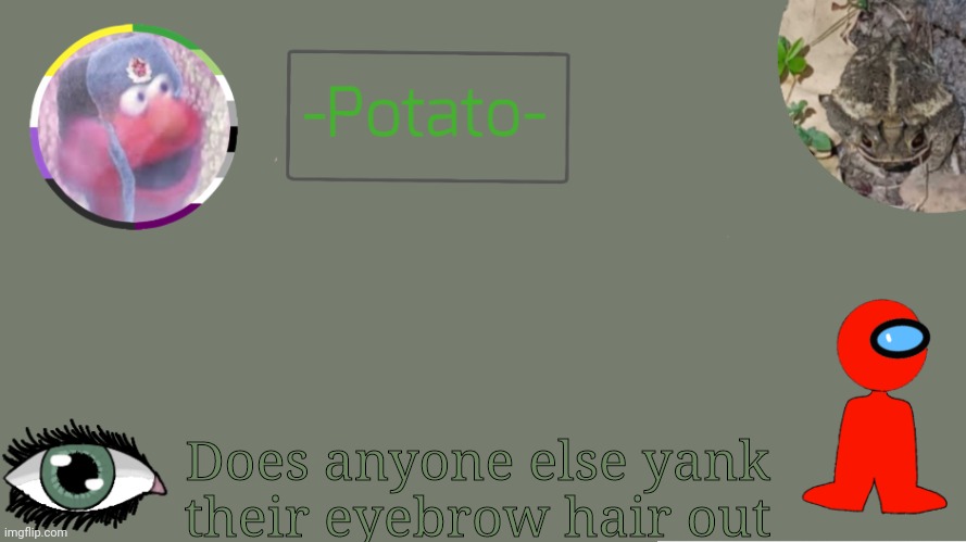 Random | Does anyone else yank their eyebrow hair out | image tagged in random | made w/ Imgflip meme maker