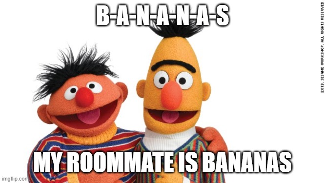 bert and ernie | B-A-N-A-N-A-S MY ROOMMATE IS BANANAS | image tagged in bert and ernie | made w/ Imgflip meme maker