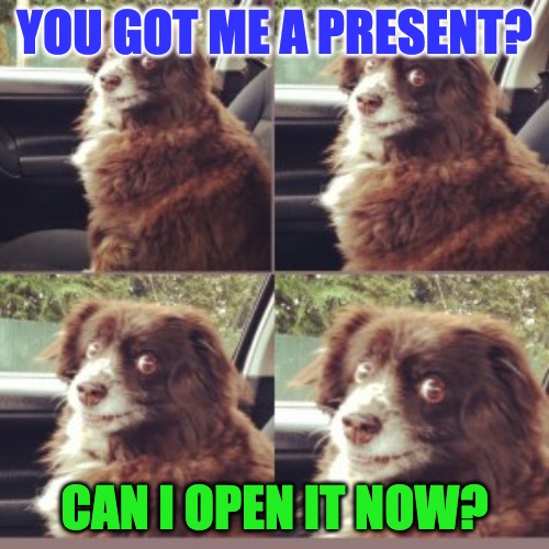 You got me a present? | YOU GOT ME A PRESENT? CAN I OPEN IT NOW? | image tagged in cant wait | made w/ Imgflip meme maker