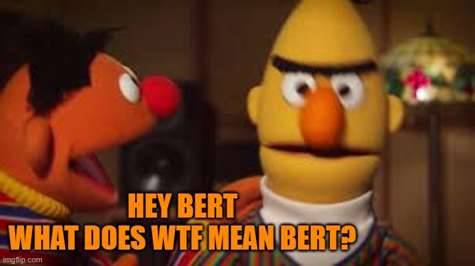 Bert and Ernie  | HEY BERT
WHAT DOES WTF MEAN BERT? | image tagged in bert and ernie | made w/ Imgflip meme maker