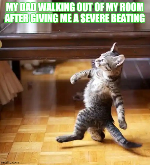 After being beaten |  MY DAD WALKING OUT OF MY ROOM AFTER GIVING ME A SEVERE BEATING | image tagged in cat walking like a boss | made w/ Imgflip meme maker