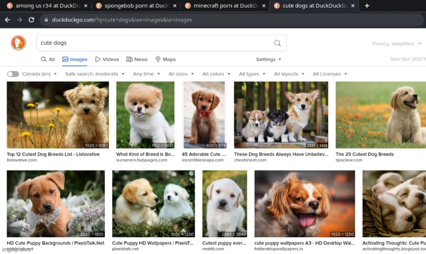 Dogs are so cute! | made w/ Imgflip meme maker