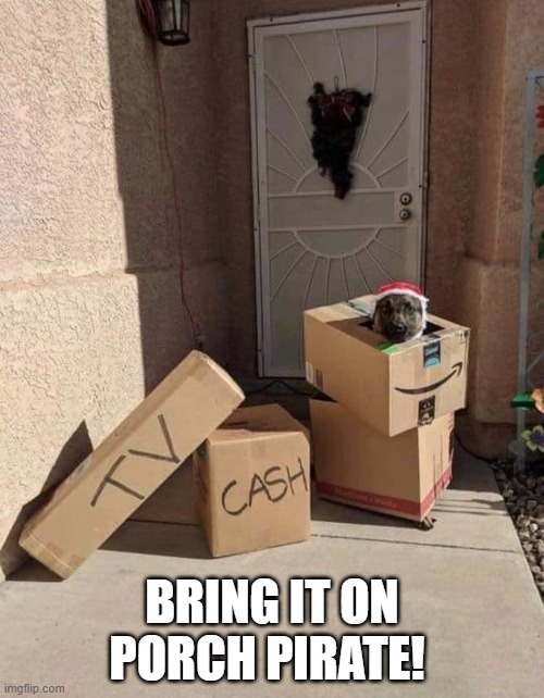 Bring it on, porch pirate! | BRING IT ON PORCH PIRATE! | image tagged in bring it on,porch pirate | made w/ Imgflip meme maker