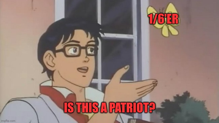 Is this | 1/6'ER; IS THIS A PATRIOT? | image tagged in is this | made w/ Imgflip meme maker