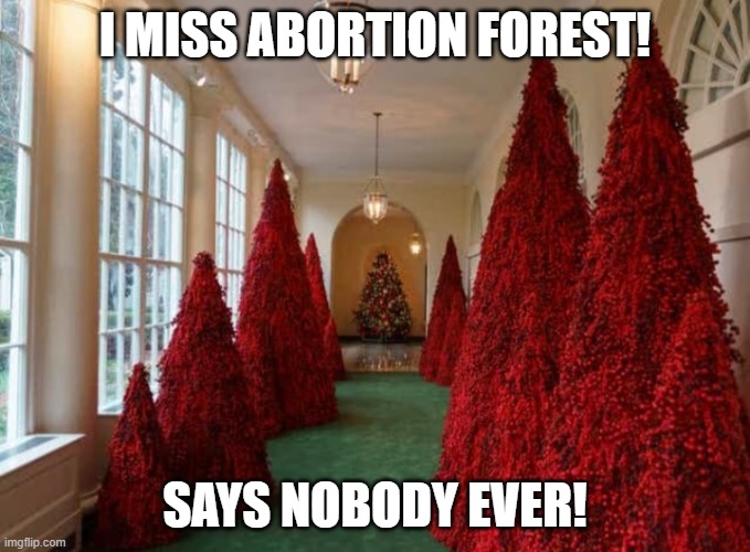 Abortion Forest! | I MISS ABORTION FOREST! SAYS NOBODY EVER! | image tagged in stephen king christmas | made w/ Imgflip meme maker