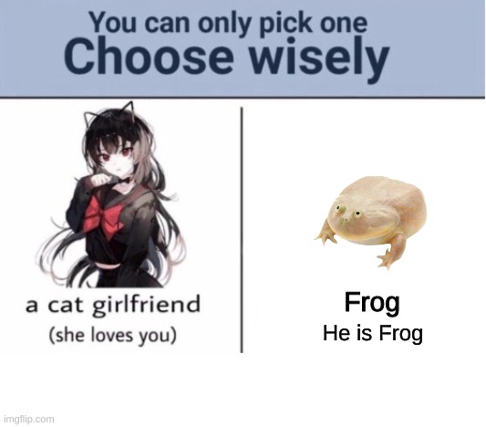 Frog |  Frog; He is Frog | image tagged in choose wisely | made w/ Imgflip meme maker