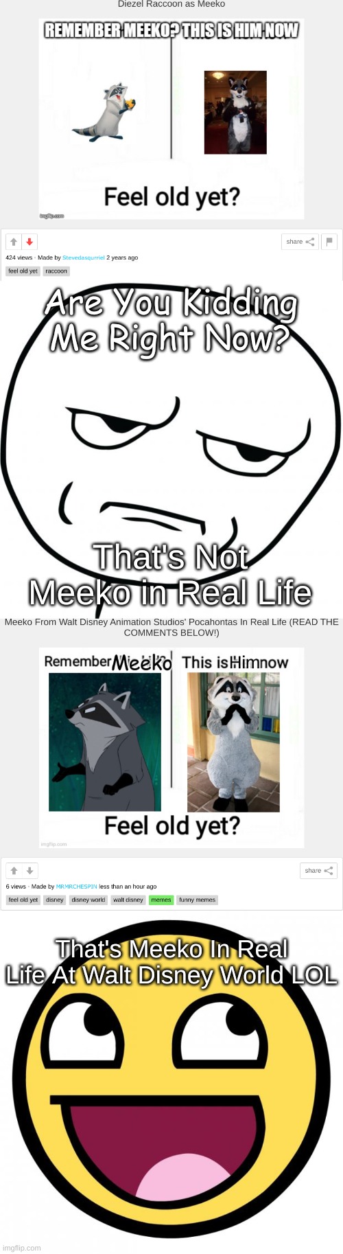 (THIS IS ONLY MEANT FOR CRITICISM) Bruh -_- |  Are You Kidding Me Right Now? That's Not Meeko in Real Life; That's Meeko In Real Life At Walt Disney World LOL | image tagged in are you kidding me,awesome face,really,bruh,memes,funny memes | made w/ Imgflip meme maker