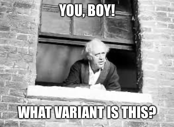 What variant is this? | YOU, BOY! WHAT VARIANT IS THIS? | image tagged in covid,coronavirus,scrooge | made w/ Imgflip meme maker