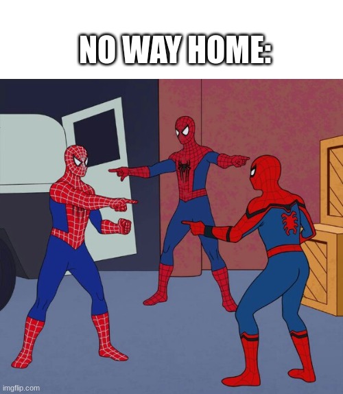 no way home be like: | NO WAY HOME: | image tagged in spider man triple | made w/ Imgflip meme maker