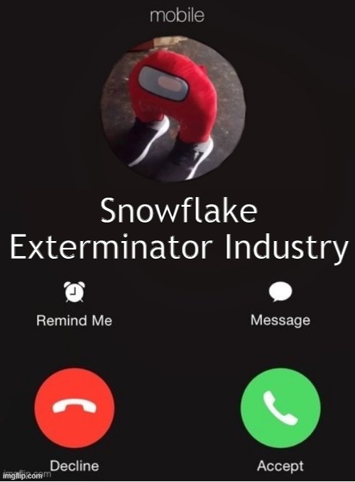 rEmiNdeR: cHanGiNg tHe tiTTiEs oF oThEr pEoPLE's mEmes iS iLLeGaL | Snowflake Exterminator Industry | image tagged in balls industry blank by ace | made w/ Imgflip meme maker