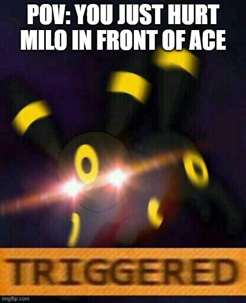 Ace is quite protective of Milo | POV: YOU JUST HURT MILO IN FRONT OF ACE | image tagged in umbreon triggered | made w/ Imgflip meme maker