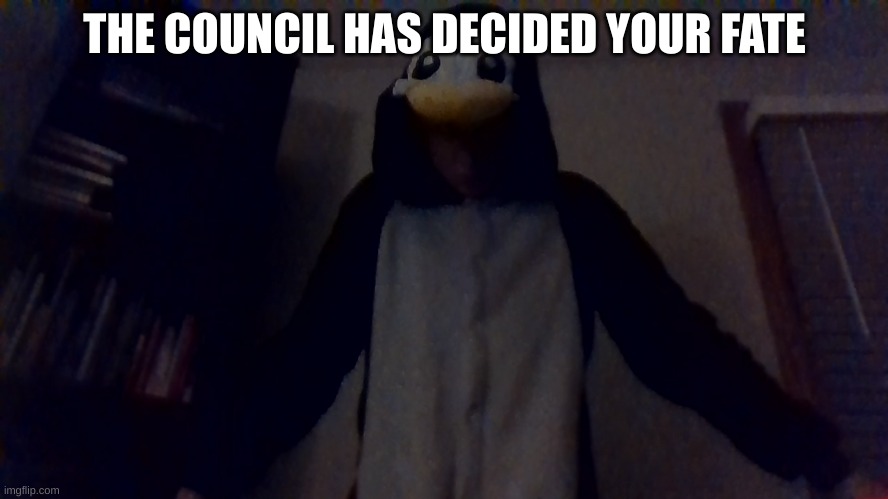 Peguin | THE COUNCIL HAS DECIDED YOUR FATE | image tagged in memes | made w/ Imgflip meme maker