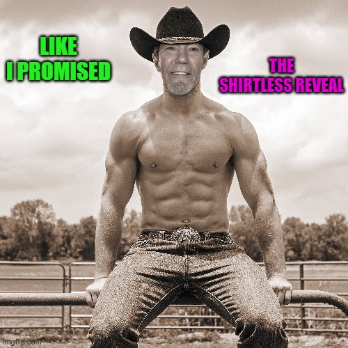 shirtless reveal | LIKE I PROMISED; THE SHIRTLESS REVEAL | image tagged in reveal,kewlew | made w/ Imgflip meme maker