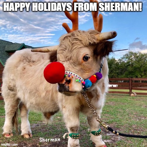 Happy holidays from Sherman! | HAPPY HOLIDAYS FROM SHERMAN! | image tagged in happy holidays,sherman | made w/ Imgflip meme maker