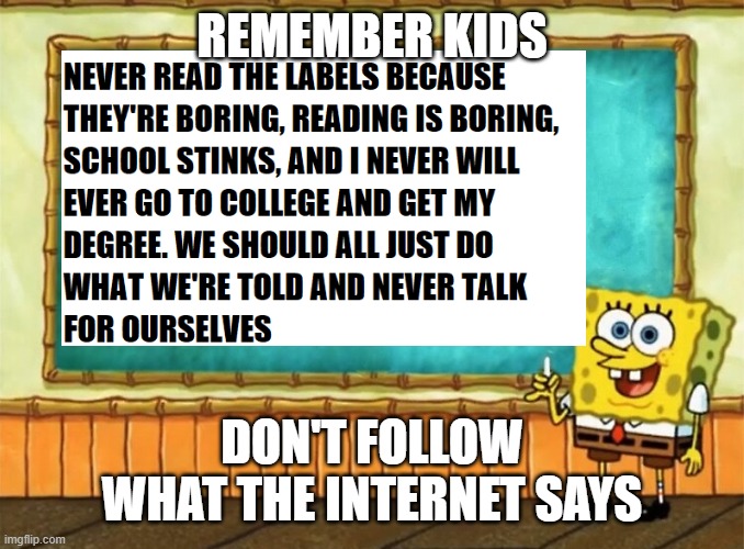 Life be like |  REMEMBER KIDS; DON'T FOLLOW WHAT THE INTERNET SAYS | image tagged in funny memes,life | made w/ Imgflip meme maker
