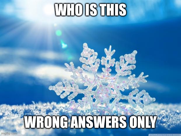 snowflake | WHO IS THIS; WRONG ANSWERS ONLY | image tagged in snowflake | made w/ Imgflip meme maker