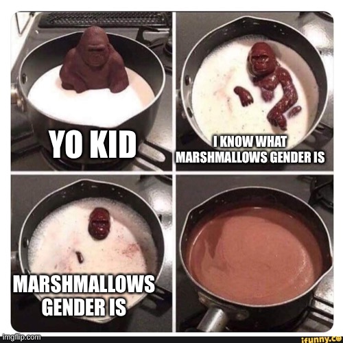 Yo Kid |  I KNOW WHAT MARSHMALLOWS GENDER IS; YO KID; MARSHMALLOWS GENDER IS | image tagged in melting gorilla,marshmallow,annoying orange,gender | made w/ Imgflip meme maker