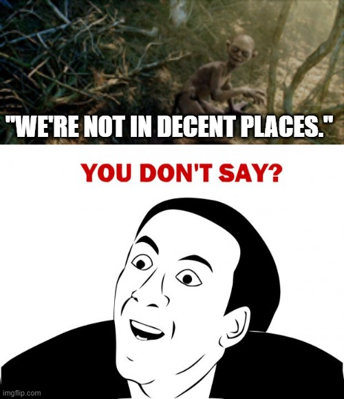 "WE'RE NOT IN DECENT PLACES." | image tagged in memes,you don't say | made w/ Imgflip meme maker