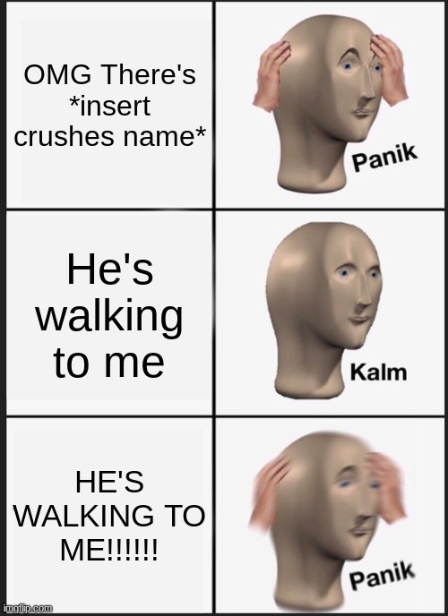 *insert cool title* | OMG There's *insert crushes name*; He's walking to me; HE'S WALKING TO ME!!!!!! | image tagged in memes,panik kalm panik | made w/ Imgflip meme maker