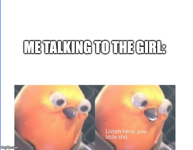 Listen here you little shit | ME TALKING TO THE GIRL: | image tagged in listen here you little shit | made w/ Imgflip meme maker