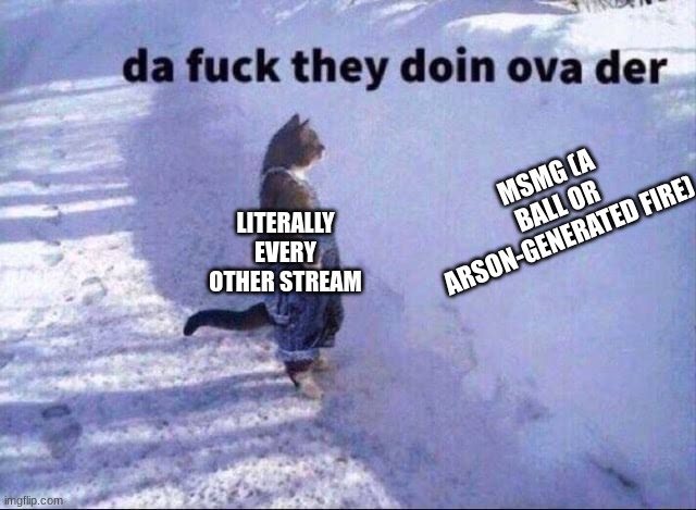 Da fuk they doin | MSMG (A BALL OR ARSON-GENERATED FIRE); LITERALLY EVERY OTHER STREAM | image tagged in da fuk they doin | made w/ Imgflip meme maker